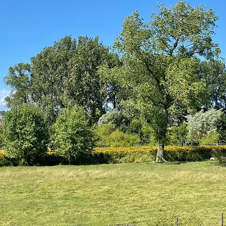 Uniek Tiny House Nabij De Kust In Mooie Polders Kamp alanı