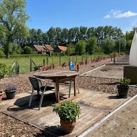 Kamp alanı Uniek Tiny House Nabij De Kust In Mooie Polders