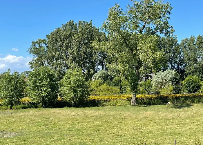 Uniek Tiny House Nabij De Kust In Mooie Polders Camping
