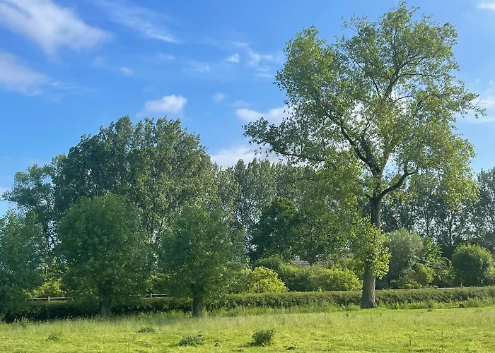 Uniek Tiny House Nabij De Kust In Mooie Polders Zuienkerke